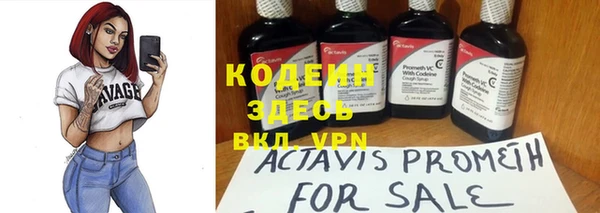 прущие крисы Вяземский
