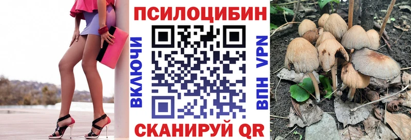 как найти наркотики  OMG рабочий сайт  Псилоцибиновые грибы Cubensis  Тольятти 